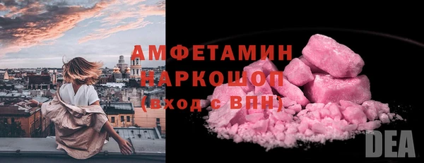 индика Волосово