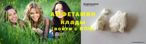 индика Волосово
