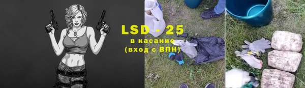 индика Волосово