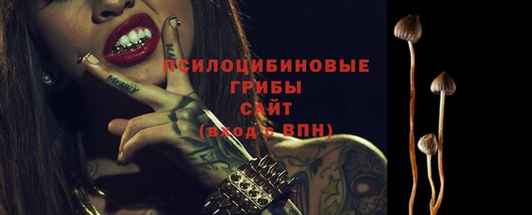 индика Волосово