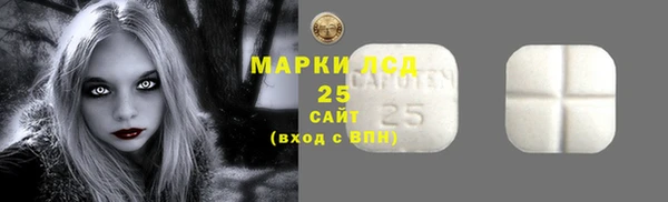 индика Волосово
