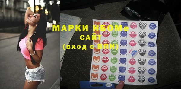 индика Волосово