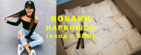 индика Волосово