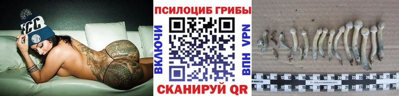 даркнет какой сайт  купить наркоту  Волчанск  Галлюциногенные грибы MAGIC MUSHROOMS 